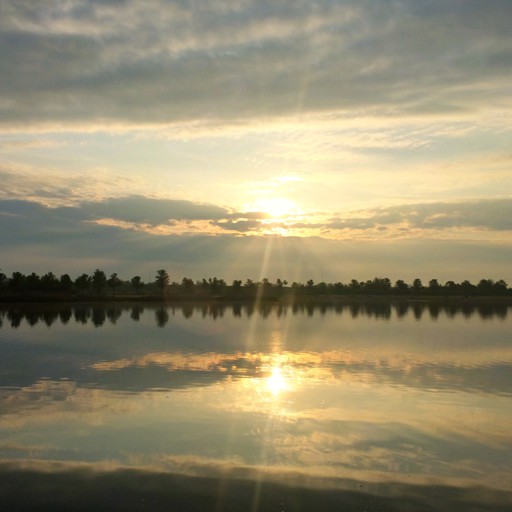ReFLeCTioN