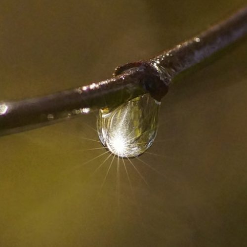 DeWDRoP